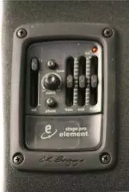 OX Acousic Electric in Carbon Burst