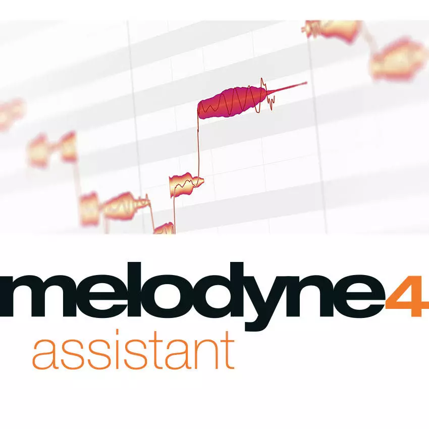Assistant 4 - Download
