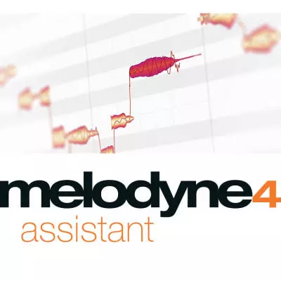 Assistant 4 - Download