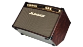 AM Standard 2-Channel Stereo Acoustic Guitar Amp - 150 Watts
