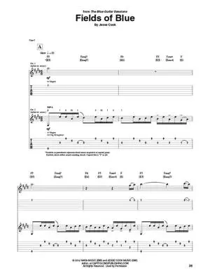 Jesse Cook--Works Vol. 1 - Classical Guitar TAB - Book