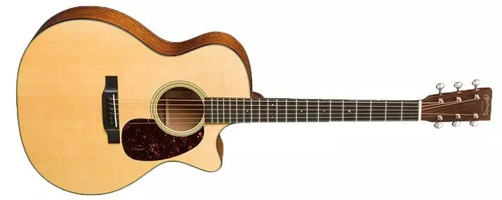 GPC-18E Standard Series Acoustic w/ Cutaway & Electronics