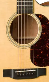 GPC-18E Standard Series Acoustic w/ Cutaway & Electronics