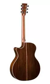 GPC-28E Standard Series Acoustic w/ Cutaway & Electronics