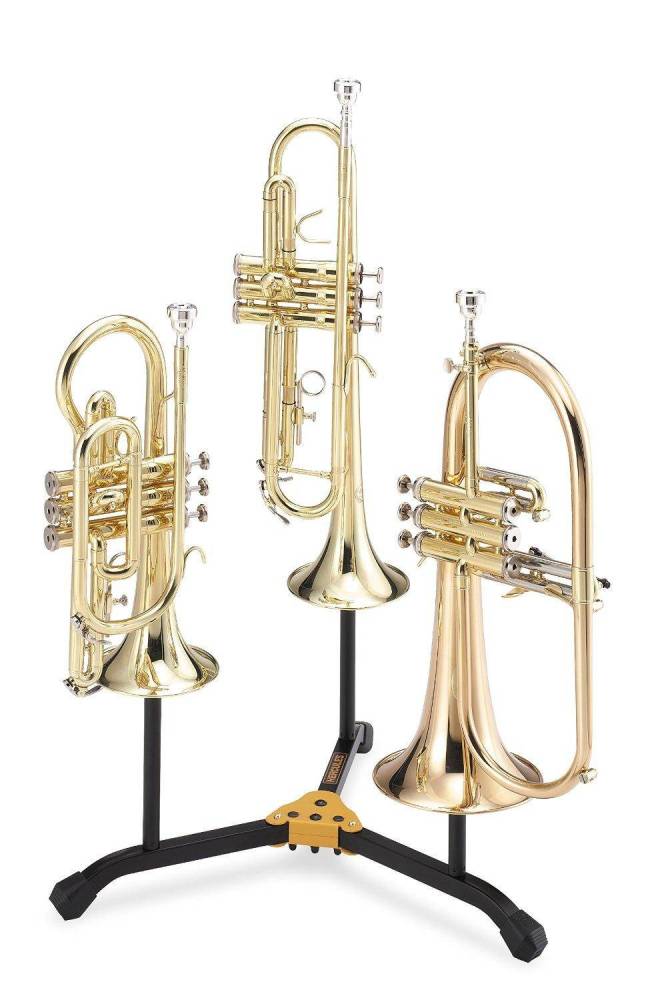 2 Trumpets/Cornets and 1 Flugelhorn Stand