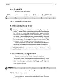 Flute Sound Effects - Dorig - Book/Audio Online