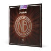 DAddario - Nickel Bronze Acoustic Guitar Strings, Custom Light, 11-52