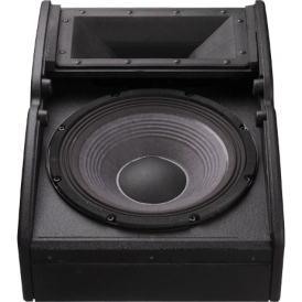 Tour-X 12-Inch 2-Way 500W Passive Floor Monitor