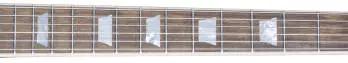 2016 Les Paul Standard Sunken Treasure - Natural