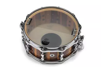 One of a Kind 6x14\'\' Poisonwood Snare