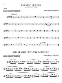 101 Classical Themes for Viola - Book