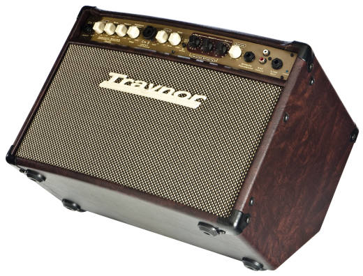 Traynor - 2-Channel Compact Stereo Acoustic Guitar Amp - 65 Watts