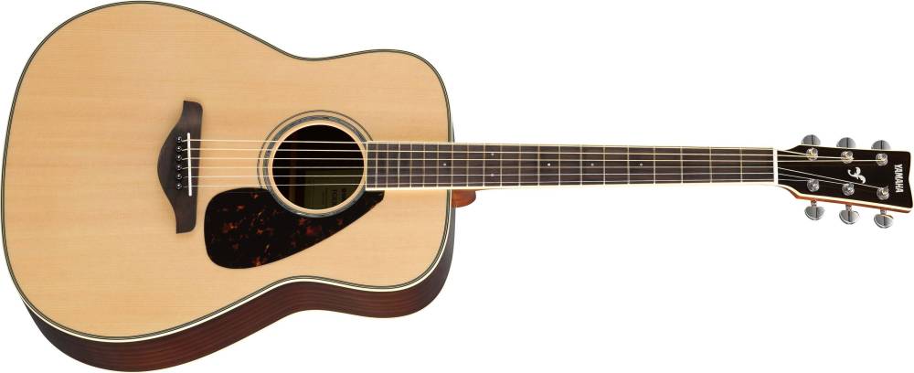 FG830 Acoustic Steel Guitar - Natural Finish