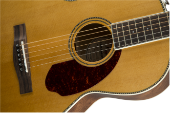 PM-2 Standard Parlor Acoustic Guitar w/ Rosewood Fingerboard - Natural