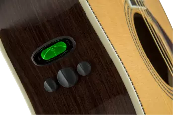 PM-1 Deluxe Dreadnought w/Ebony Fingerboard - Natural