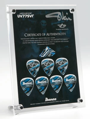 Passion and Warfare 25th Anniversary Limited Edition Guitar - Silver