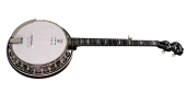 Deering Banjo Company - Eagle II 5-String Acoustic\/Electric Banjo with Hardshell Case