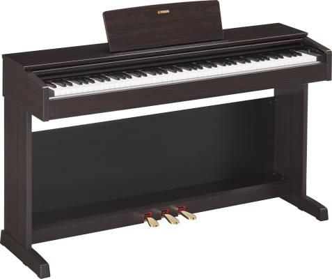 Arius Digital Piano w/Bench - Rosewood