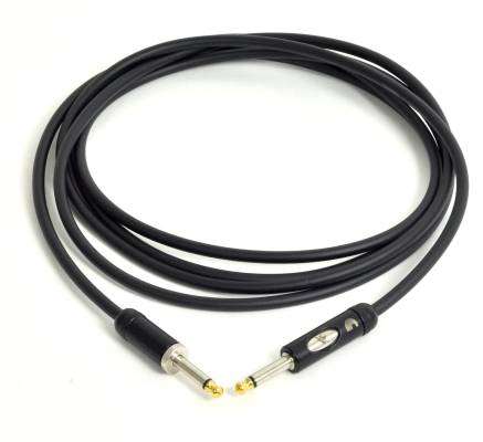 American Stage Kill Switch Instrument Cable - 10 feet