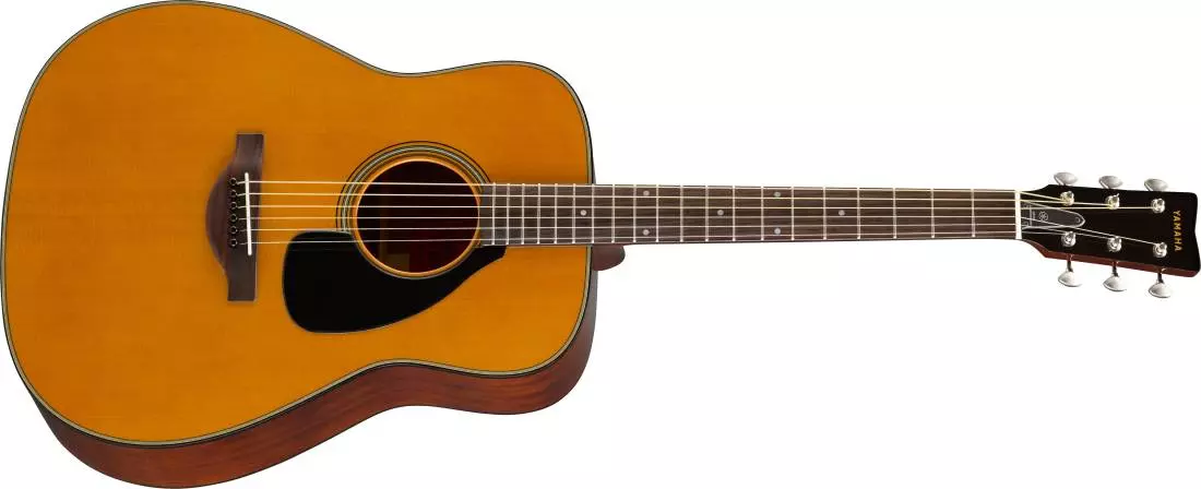 50th Anniversary Acoustic Guitar