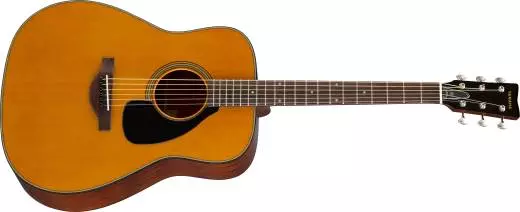 50th Anniversary Acoustic Guitar