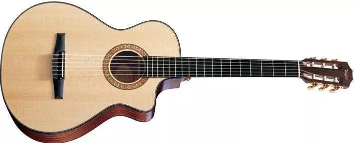 NS32CE - Acoustic Electric Classical