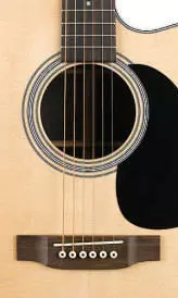 DC-28E Cutaway Dreadnought Acoustic/Electric Guitar