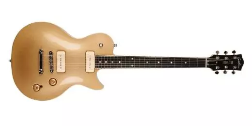 Summit Classic P90 Gold HG with Bag