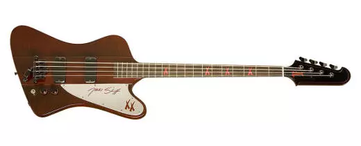 Nikki Sixx Thunderbird