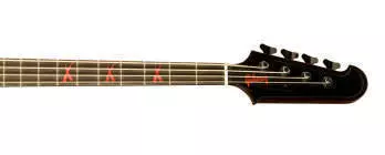 Nikki Sixx Thunderbird