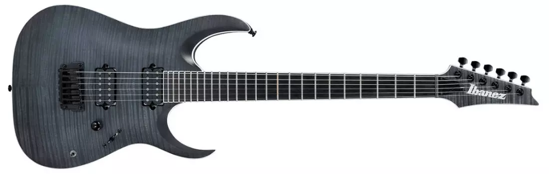 RGAIX Iron Label Electric Guitar - Transparent Grey Flat