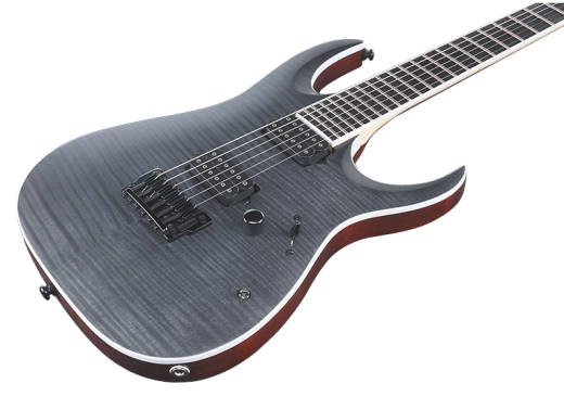 RGAIX Iron Label Electric Guitar - Transparent Grey Flat