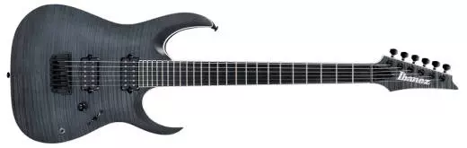 RGAIX Iron Label Electric Guitar - Transparent Grey Flat