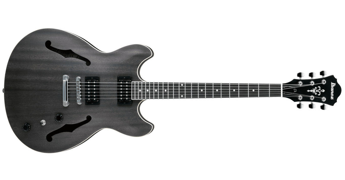 Artcore AS53 Hollow Body Guitar - Transparent Black Flat