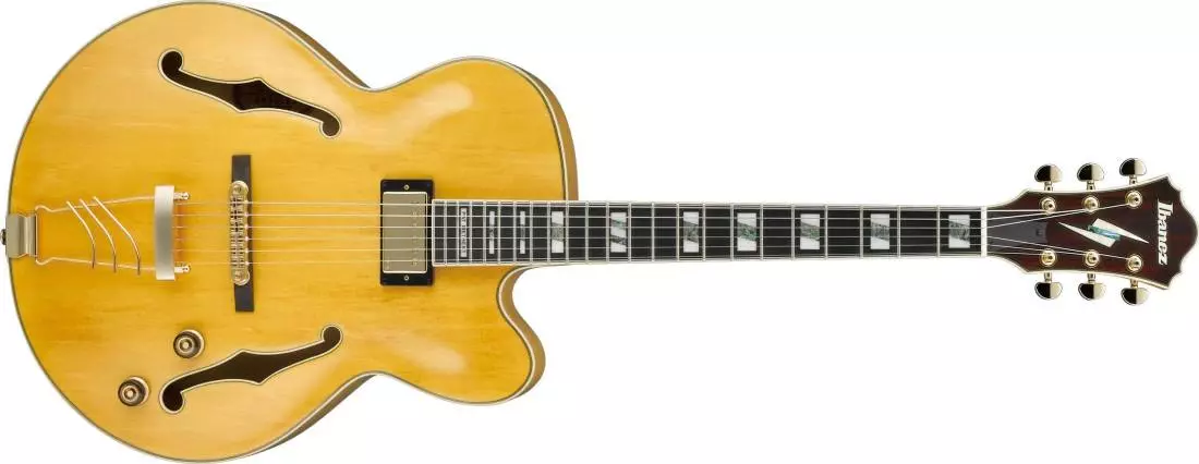 Pat Metheny Signature Hollowbody Guitar - Antique Amber