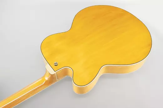 Pat Metheny Signature Hollowbody Guitar - Antique Amber