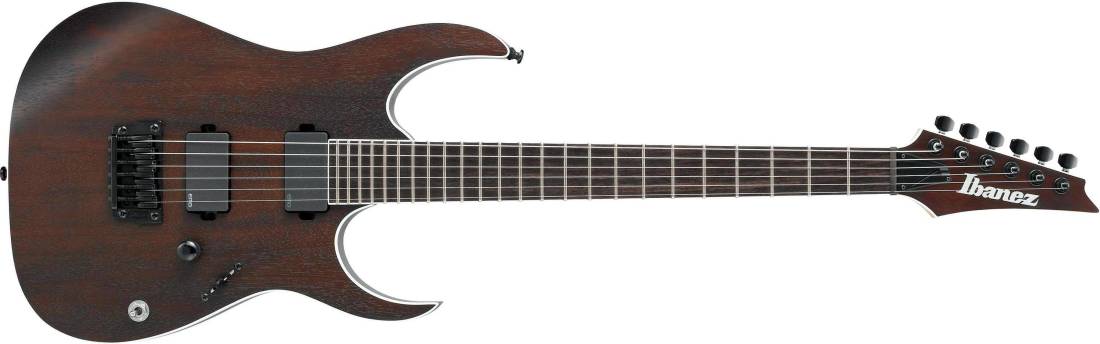 RG Iron Label Electric Guitar - Walnut Flat