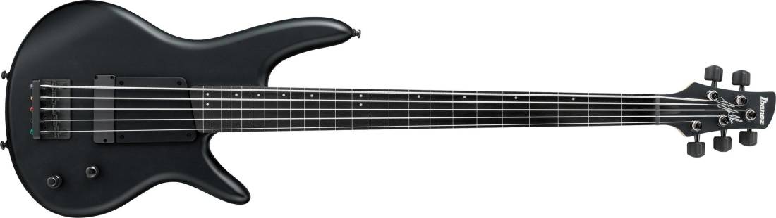 Gary Willis Signature Electric Bass - Black Flat