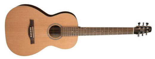 Coastline Grand Compact Acoustic Guitar