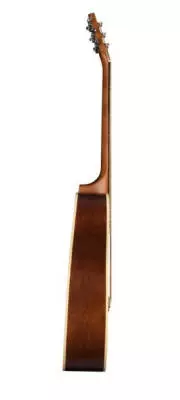 Coastline Grand Compact Acoustic Guitar