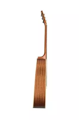 S6 Mahogany Deluxe Acoustic/Electric Guitar
