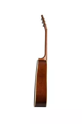 S6 Spruce GT - Sunburst