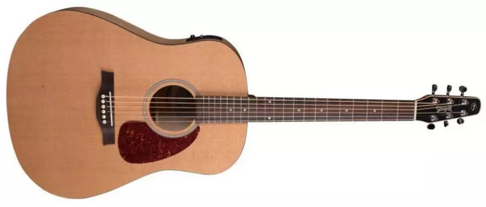 S6 Classic w/ M-450T Electronics