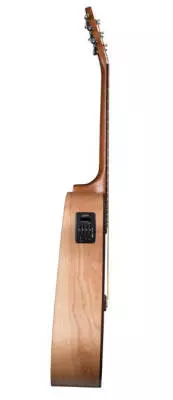 S6 Classic w/ M-450T Electronics