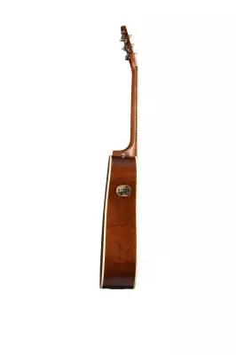 S6 CW Spruce Sunburst GT w/ QIT Electronics