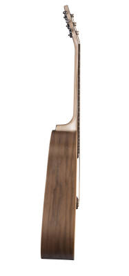 Seagull Guitars Excursion Walnut SG | Long & McQuade