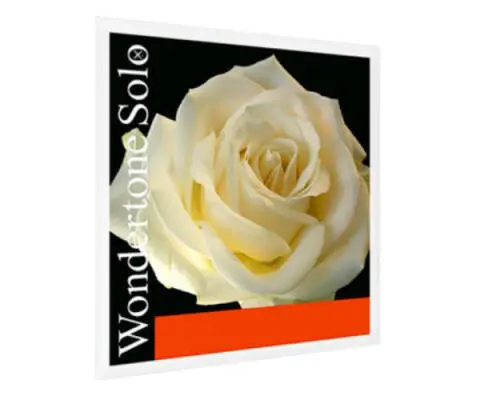 Pirastro - Wondertone Solo Violin A String - Aluminum