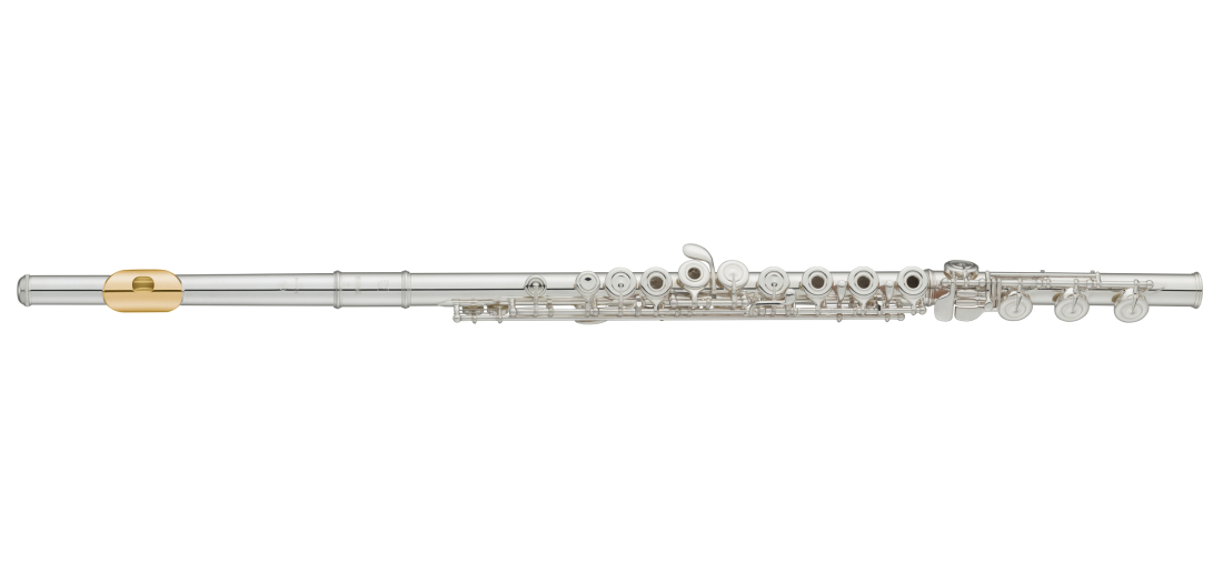 300 Series Intermediate Open Hole Flute with Offset G, B Foot, and Gold-Plated Lip Plate