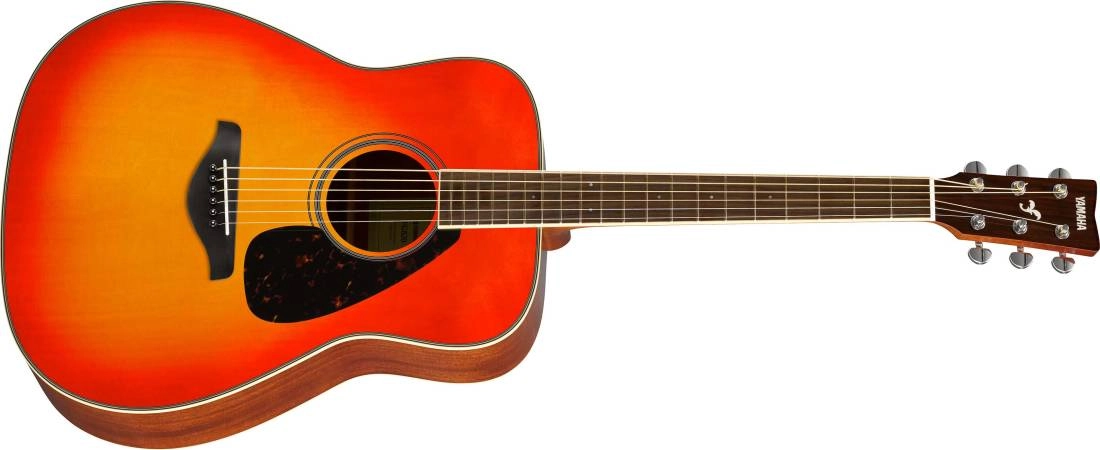 FG820 Spruce Top Acoustic Guitar - Autumn Burst Finish