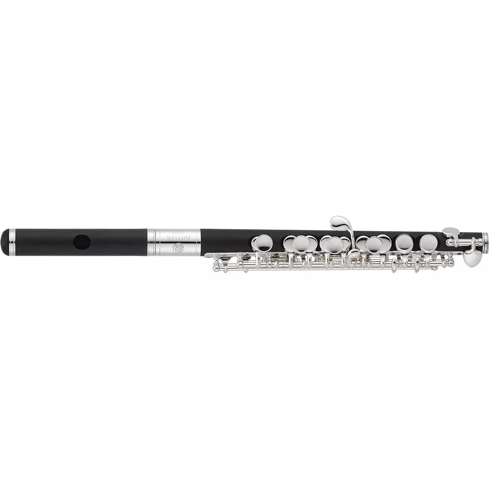 JPC1010 Piccolo w/Case